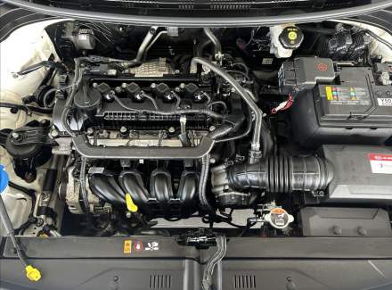 Kia - Rio