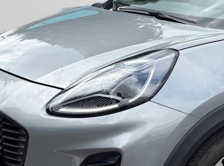 Ford - Puma