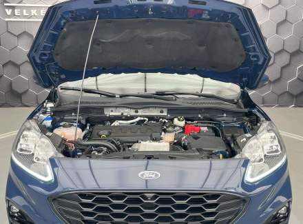 Ford - Kuga