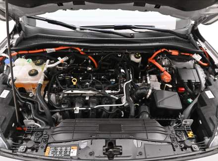 Ford - Kuga