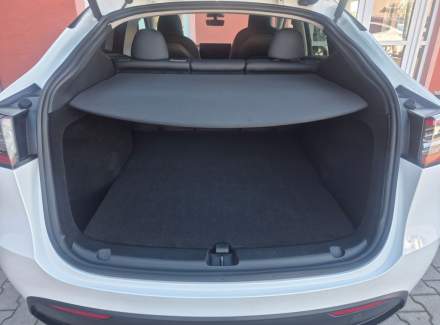 Tesla - Model Y