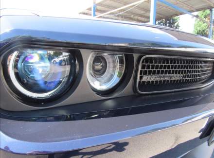 Dodge - Challenger