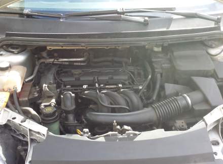 Ford - Focus 1.6 Duratec 16V (100 Hp)
