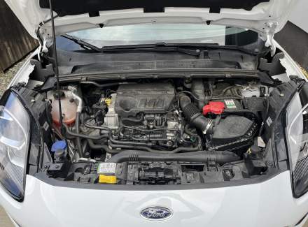 Ford - Puma