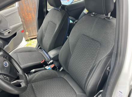 Ford - Puma