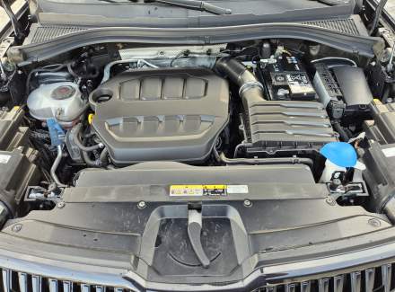 Škoda - Kodiaq RS 2.0 TSI (245 Hp) 4x4 DSG
