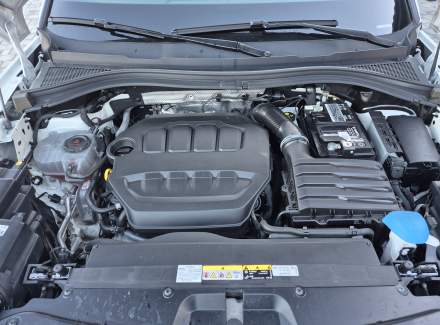 Škoda - Kodiaq RS 2.0 TSI (245 Hp) 4x4 DSG
