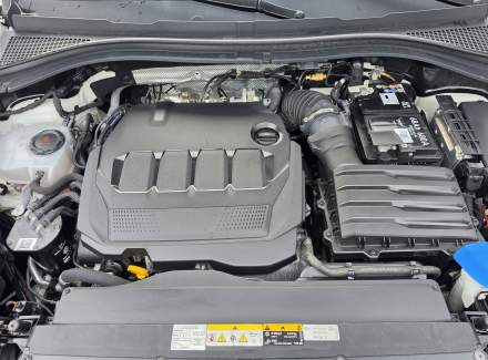 Škoda - Kodiaq 2.0 TDI (200 Hp) 4x4 DSG